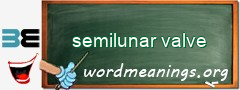 WordMeaning blackboard for semilunar valve